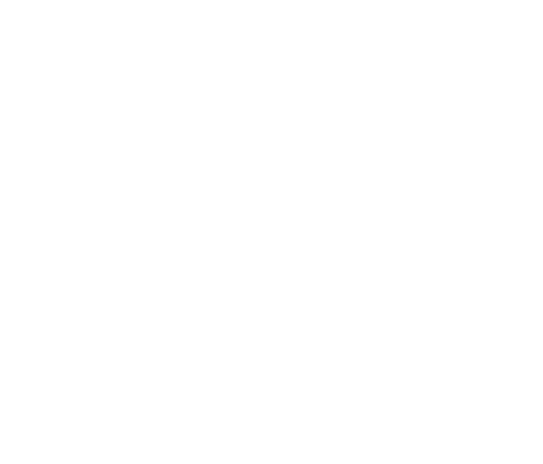 Private Lesson icon white